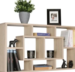 WOHNLING Spaanplaat Wandplank 8 850 x 160 x 475 mm Grijs